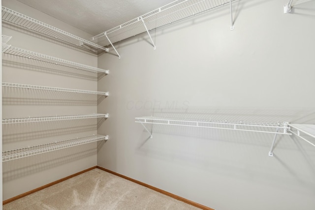 walk in closet with carpet floors