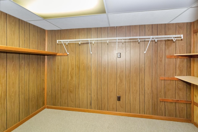 spacious closet featuring carpet floors and a drop ceiling