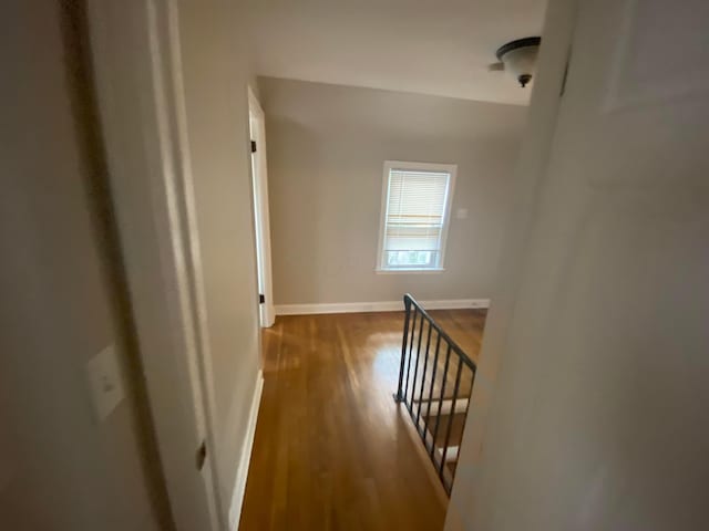 hallway featuring wood-type flooring