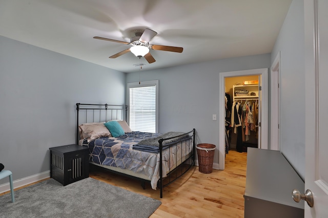 bedroom with ceiling fan, a walk in closet, light wood-type flooring, and a closet