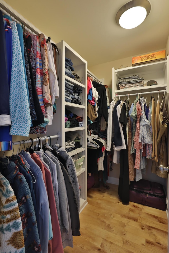 walk in closet featuring light hardwood / wood-style floors