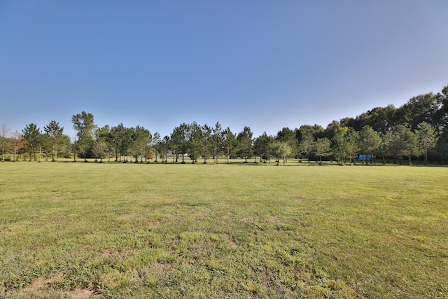 view of yard featuring a rural view