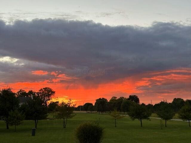 view of nature at dusk