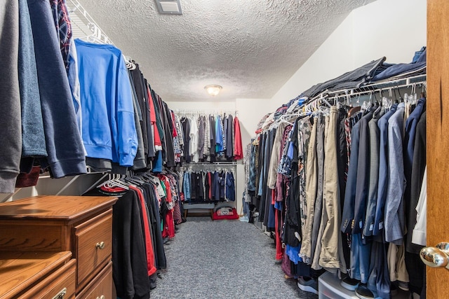 walk in closet with carpet floors