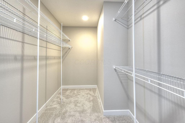 walk in closet featuring carpet floors