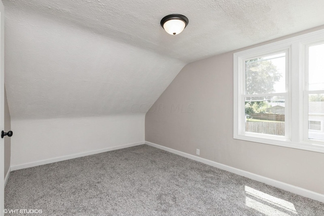 additional living space with carpet flooring, a textured ceiling, and lofted ceiling