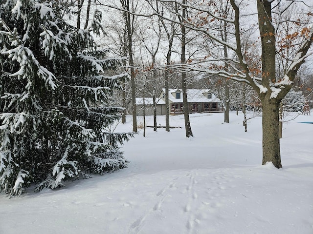 view of yard covered in snow