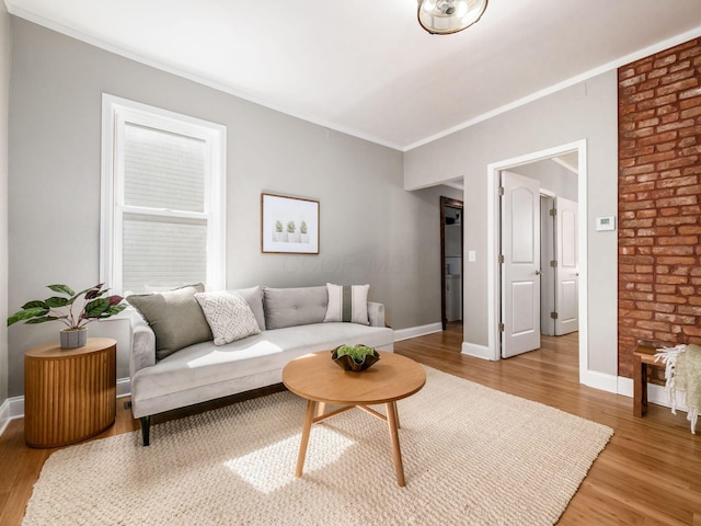 living area with baseboards, crown molding, and light wood finished floors