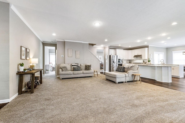 living room featuring a textured ceiling, sink, dark hardwood / wood-style flooring, and crown molding