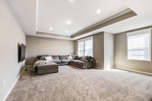 carpeted living room with plenty of natural light, a raised ceiling, and crown molding