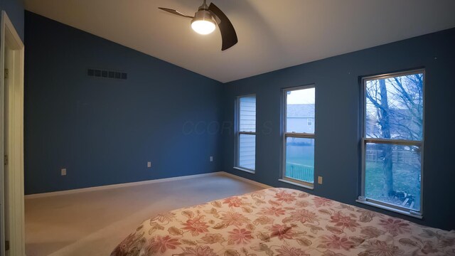 519 Hazen Brook Pl, Reynoldsburg, OH 43068 - photo 49