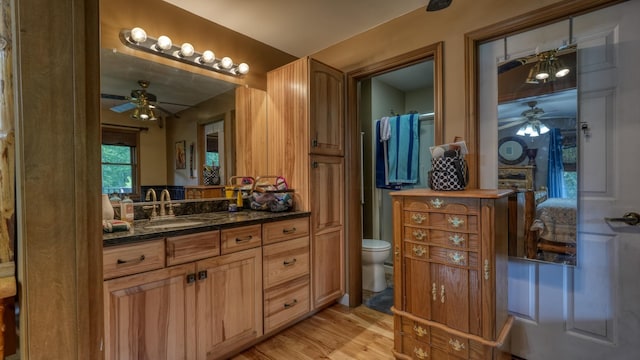 bathroom featuring vanity, wood-type flooring, and toilet