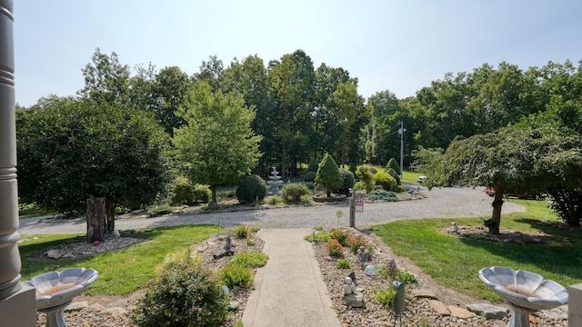 view of community with a lawn