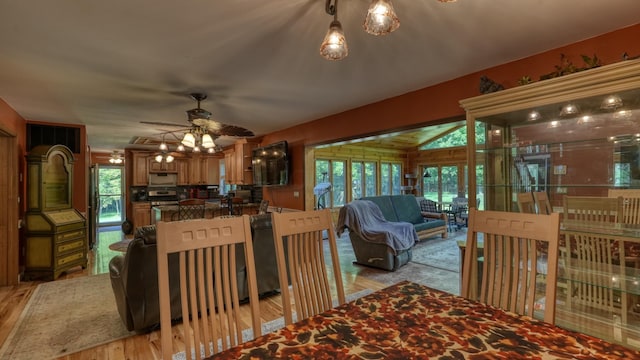 dining space featuring a wealth of natural light, ceiling fan, and light wood-type flooring