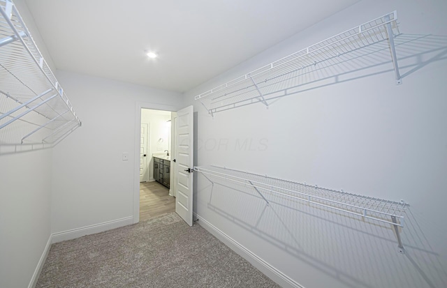 spacious closet featuring carpet flooring