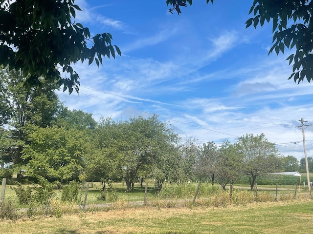 view of local wilderness featuring a rural view