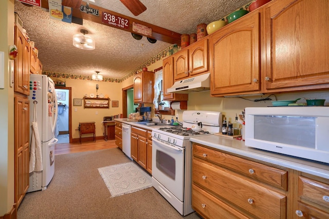 kitchen featuring light carpet, a textured ceiling, white appliances, and sink