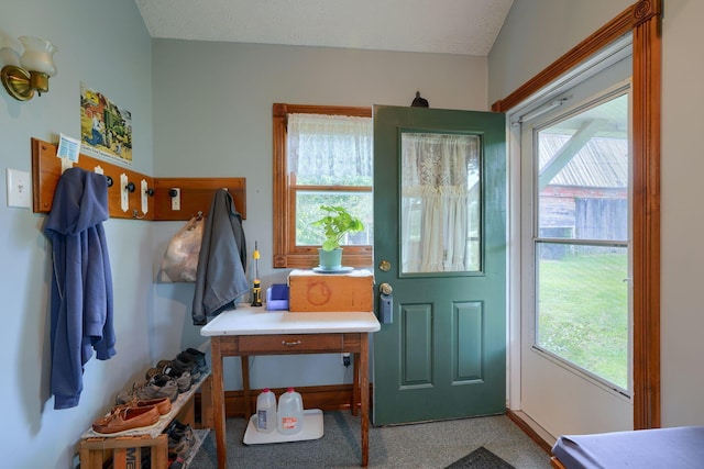 entryway with plenty of natural light, carpet floors, and a textured ceiling