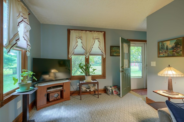 living area featuring a textured ceiling, light colored carpet, and a healthy amount of sunlight