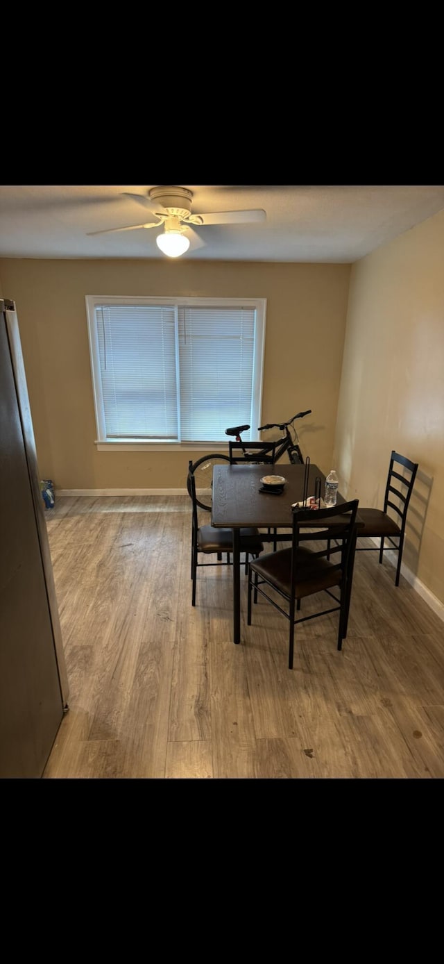 dining room with ceiling fan and light hardwood / wood-style flooring