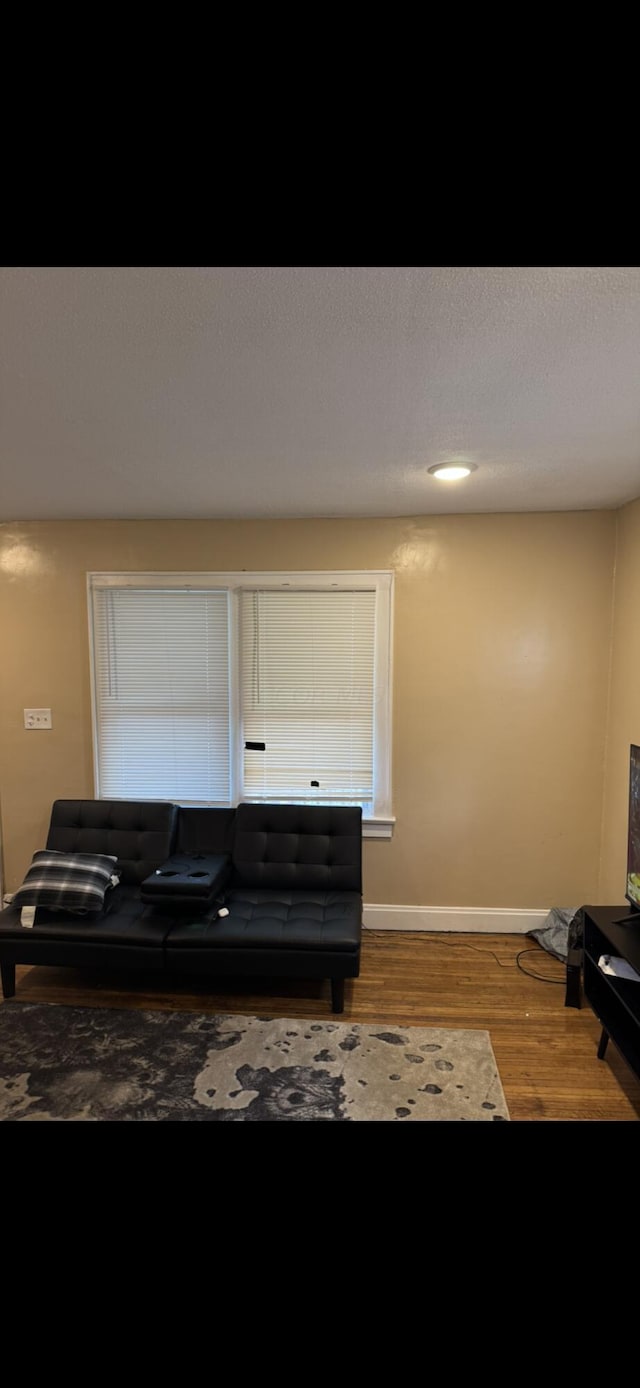 living room featuring hardwood / wood-style floors