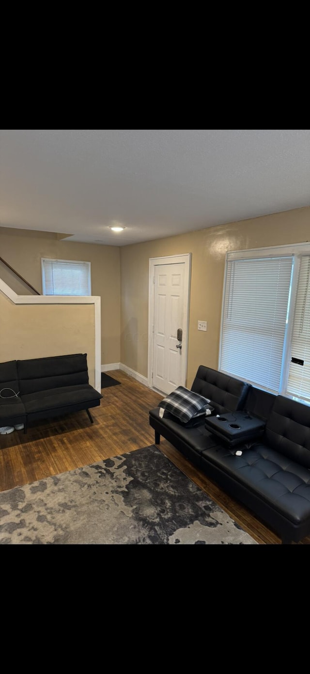 living room with dark hardwood / wood-style flooring