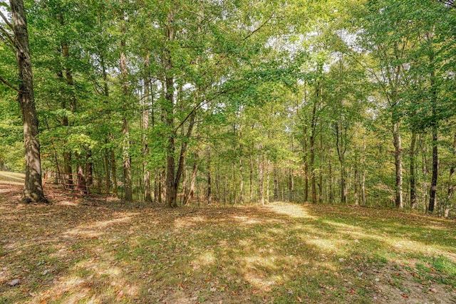 view of local wilderness