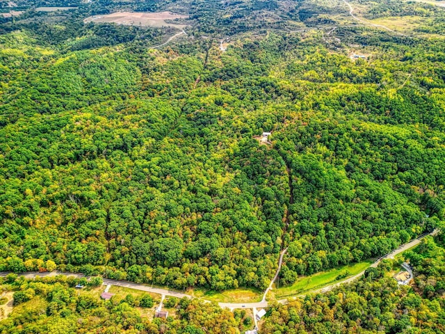 bird's eye view