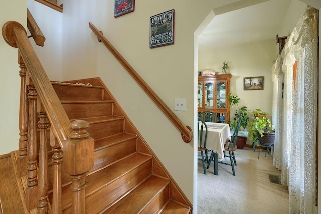 stairway featuring carpet