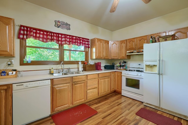 kitchen featuring light wood-type flooring, white appliances, ceiling fan, and sink