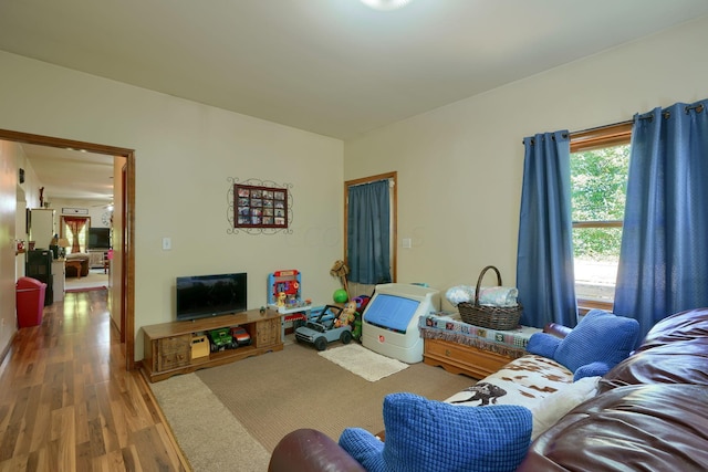 living room featuring wood-type flooring