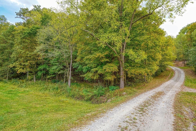 19248 State Route 328, New Plymouth, OH 45654 - photo 124