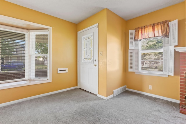 entryway with carpet floors and a wealth of natural light