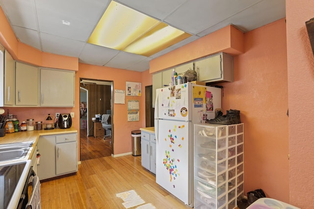 kitchen with a paneled ceiling, white fridge, light hardwood / wood-style floors, and stove