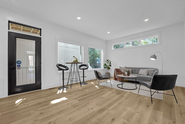 living room with light hardwood / wood-style flooring and plenty of natural light