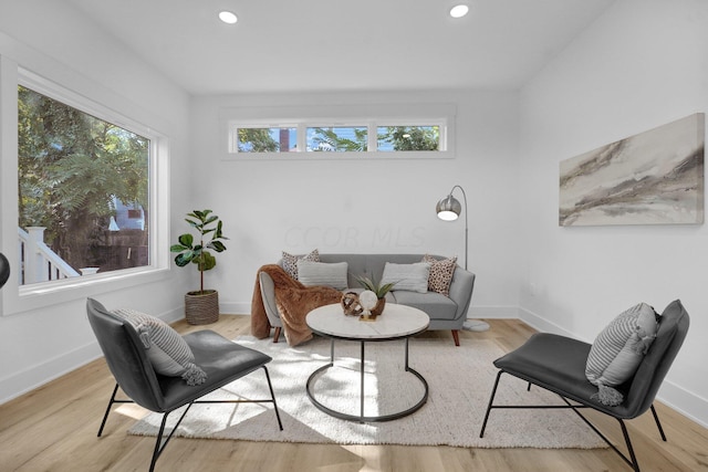 sitting room featuring light hardwood / wood-style flooring