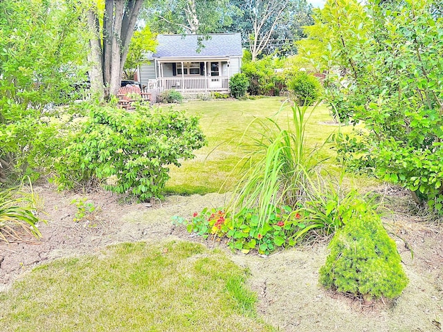 view of yard featuring a porch