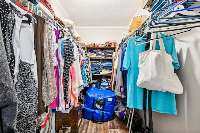 walk in closet with wood-type flooring