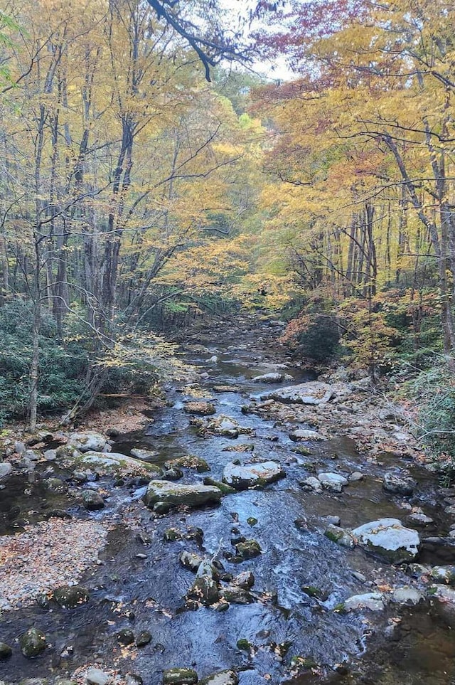 view of local wilderness