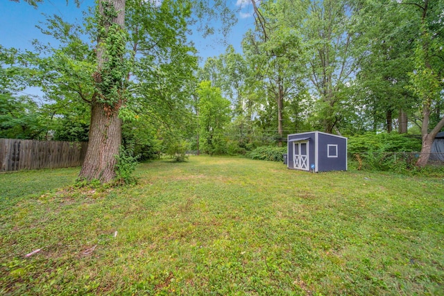 view of yard featuring a storage shed