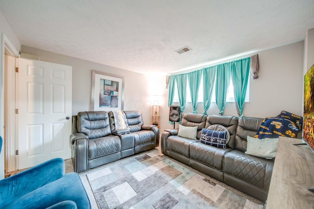 living room with a textured ceiling