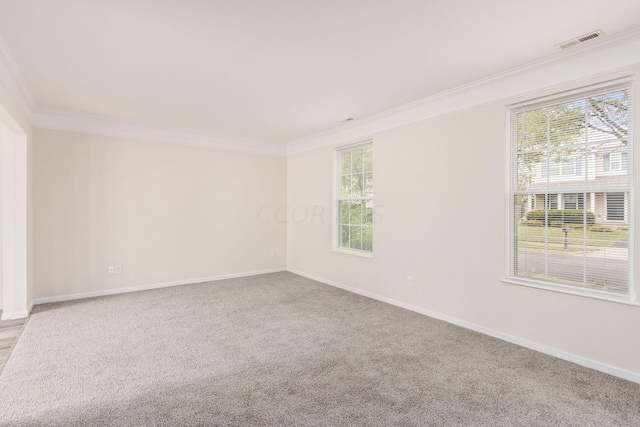 carpeted empty room featuring crown molding