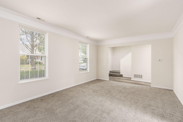 spare room featuring carpet flooring and ornamental molding