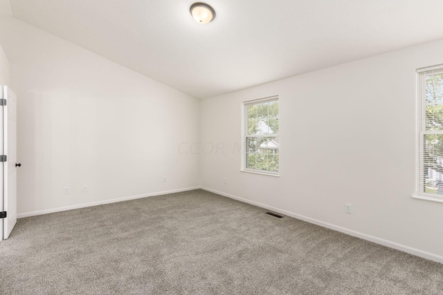 spare room featuring carpet floors, a wealth of natural light, and lofted ceiling