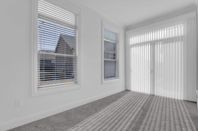 carpeted empty room featuring crown molding