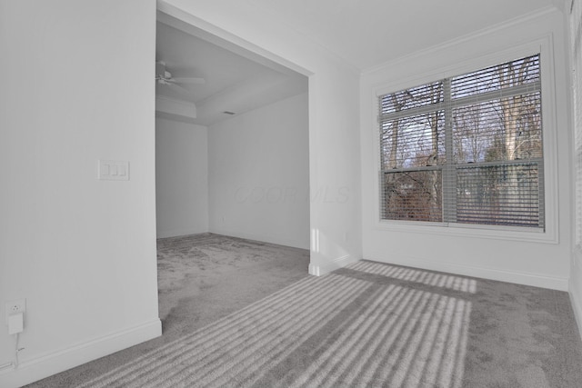 spare room with crown molding, carpet flooring, and ceiling fan