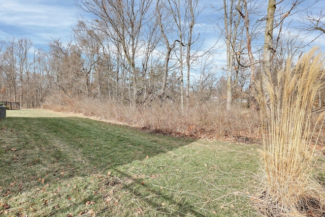 view of yard with central AC