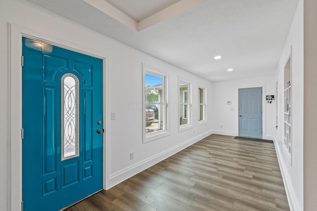 entryway with wood-type flooring