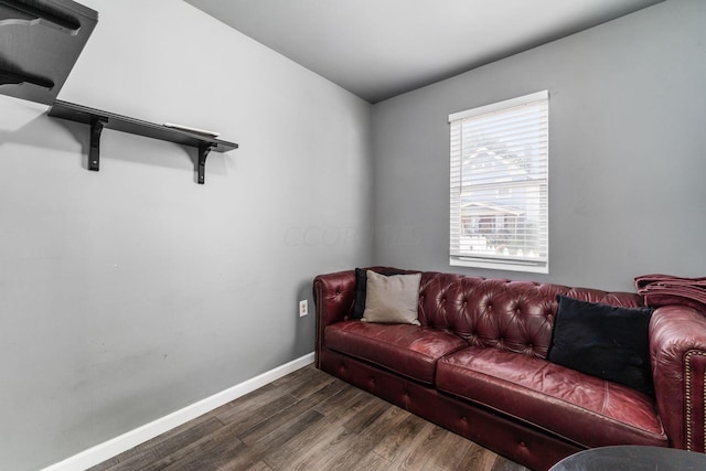 living room featuring dark wood-type flooring