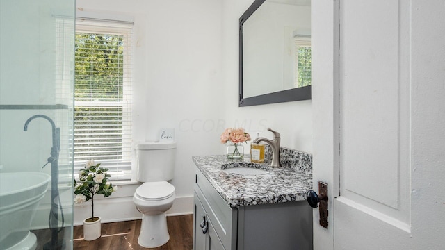 bathroom with vanity, hardwood / wood-style flooring, and toilet